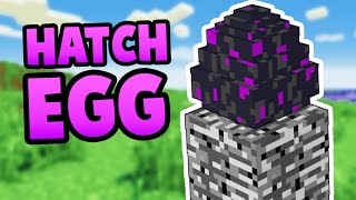 How To Hatch the Ender Dragon Egg in Minecraft Pocket Edition (Windows 10 Edition)