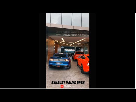 Veleno Performance Exhaust,