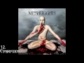 Top 20 Grooviest Meshuggah Songs