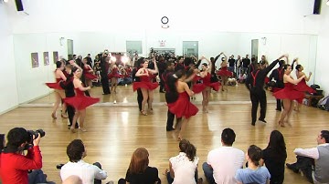 BASo Performance Class - PC 8