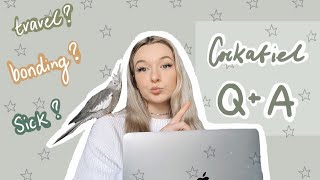 BONDING WITH YOUR COCKATIEL? | COCKATIEL Q&A