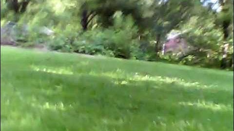 On-board (808 keychain) video of a Esky Honey Bee FP v1