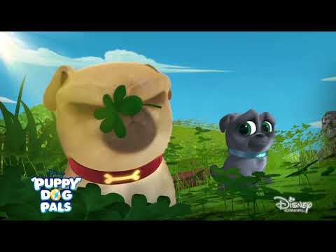 Marketing - PDP Pugtastic 15 DIJR 0435 - Flight: 3/9-3/16 - Marketing - PDP Pugtastic 15 DIJR 0435 - Flight: 3/9-3/16