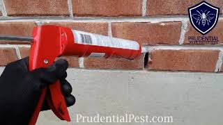 Rodent Proofing Weep Hole on Brick