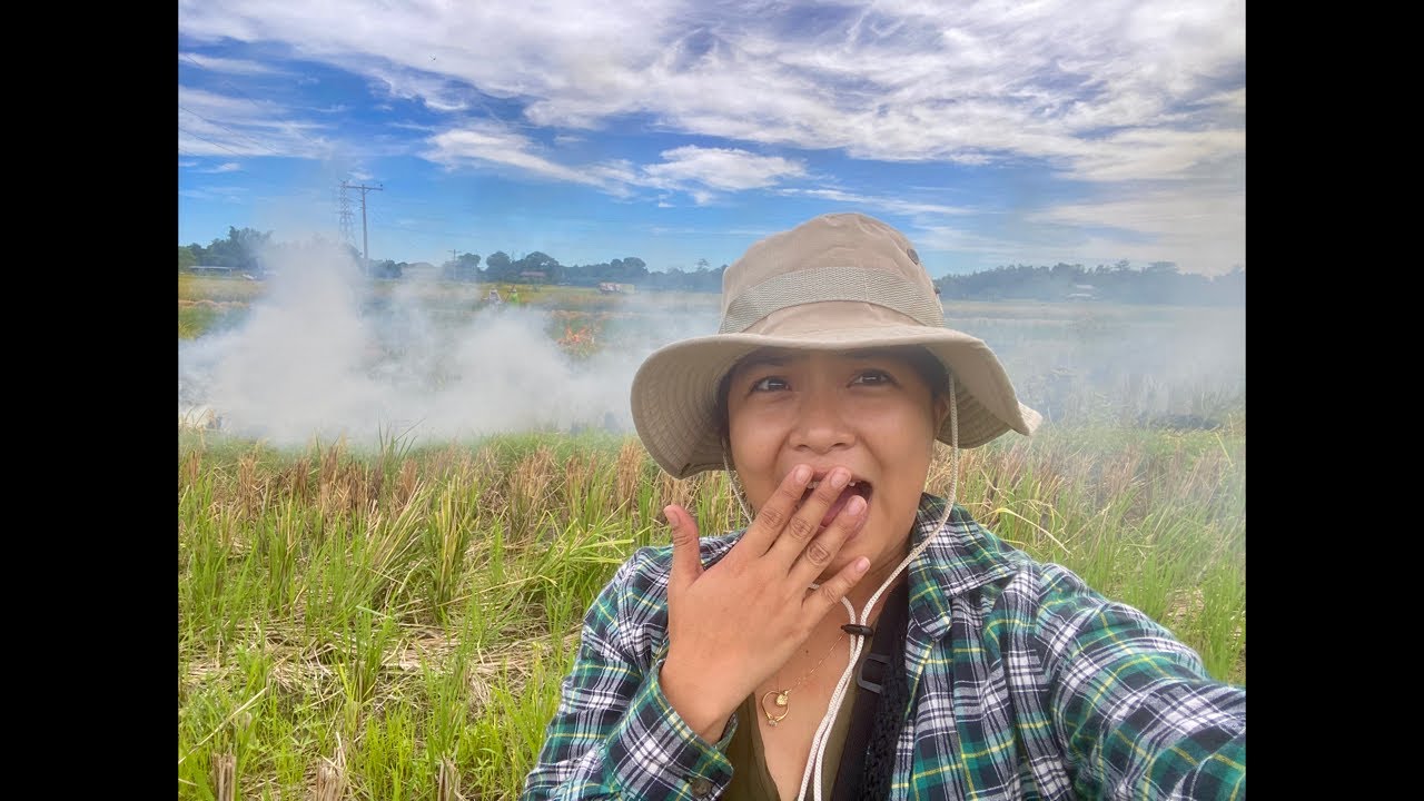 Msgreg is live! The farm is burning on fire!