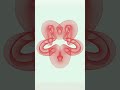 Exploring forms #cncsoftware #plotter #art #software