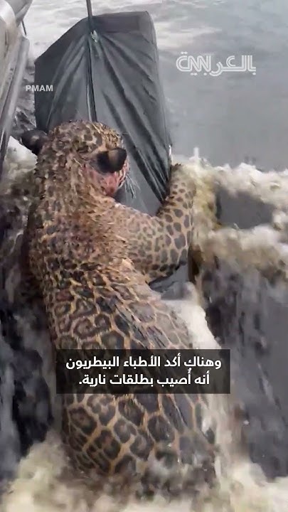       -  -    
 - نشر قبل 22 دقيقة