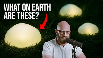 The Mystery of the Oakville Blobs.