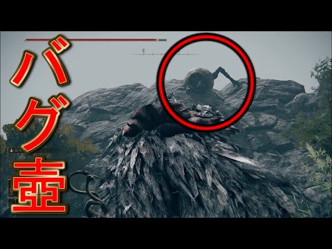 The theory that Alexander's glitchy warrior pot can negate fall damage [Elden Ring]
