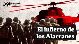 La TRAGEDIA de los ALACRANES en MALVINAS, los comandos de la Gendarmería | 40 años de la guerra
