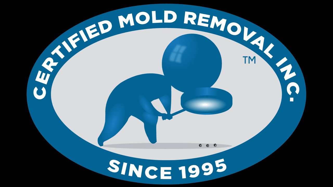 Best Mold Testing, Inspection & Removal Company in Union County NJ. Certified Mold Removal Inc.