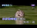 沒關係 張宇 男Gm井調 伴奏 導唱3顆 丙 沒關係 張宇 男Gm井調 伴奏 導唱3顆 丙