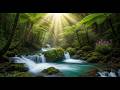 Forest Stream Serenity 🐦 | Gentle Water Sounds and Birds for Meditation and Focus