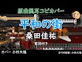 カバー151 『平和の街/桑田佳祐』歌詞付 小杉大福