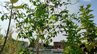 My Frist Vlog Rajesh Support Frist Simple Vlog