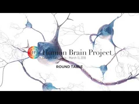 University of Pavia, The Human Brain Project Italy