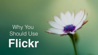 Why You Should Use Flickr!