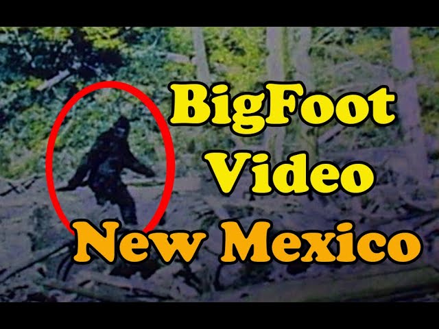 Bigfoot sighting in New Mexico - Santa Fe National Forest - YouTube