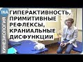 Гиперактивность. Примитивные рефлексы. Краниальные дисфункции. Кинезиология