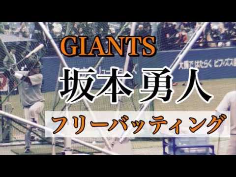 坂本勇人 2019 華麗なフリーバッティング