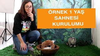 Örnek 1 Yaş Bebek (Cakesmash de olabilir) Fotoğraf Çekimi Sahnesi Kurulumu