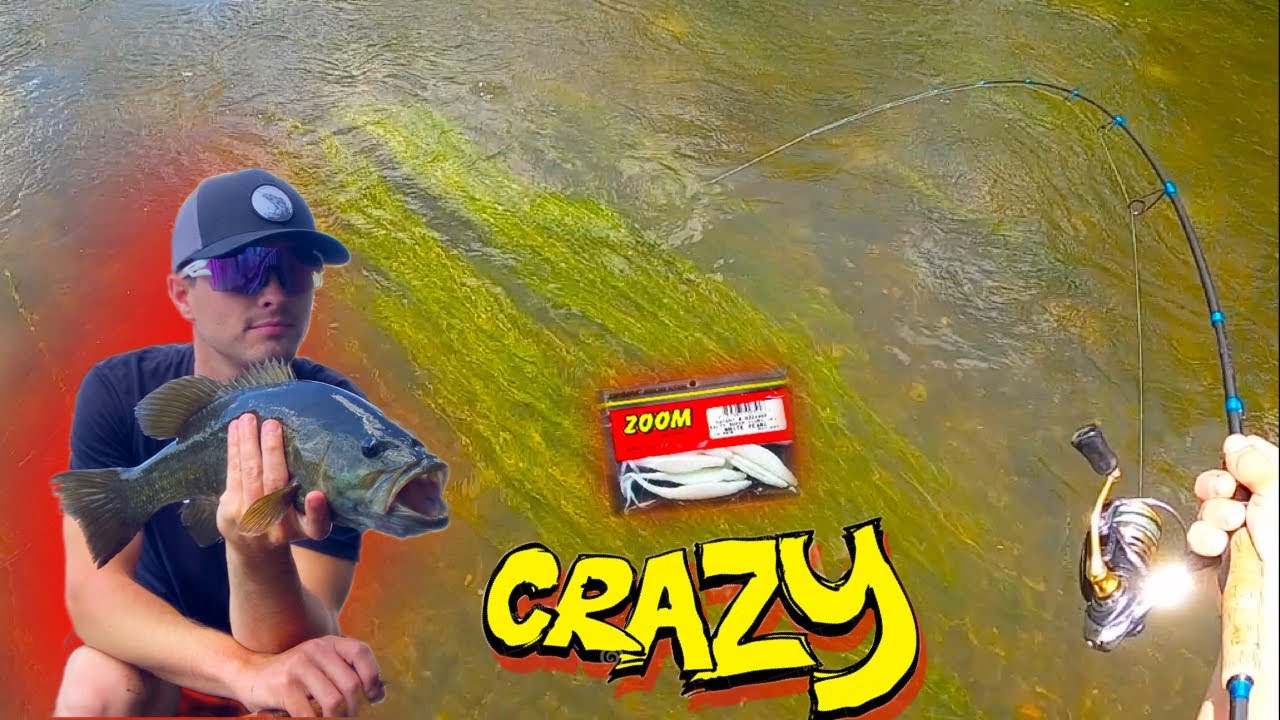 River Smallmouth Fishing A Weightless Zoom Fluke 