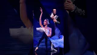 Swan Lake: The Magic of Classical Ballet 🦢✨