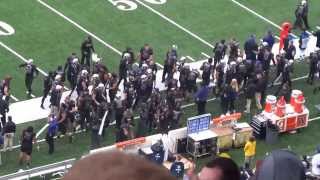 UW Huskies jump around on the sideline at Apple Cup 2013