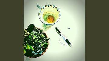 Uplifting Backdrops for Coconut Cold Brew