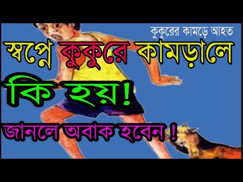 ভিডিও: কুকুরছানা স্বপ্ন দেখছে কেন