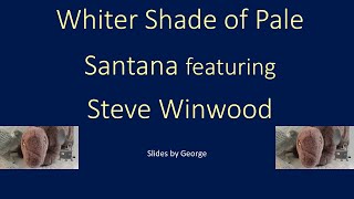 Santana featuring Steve Winwood   Whiter Shade of Pale  karaoke