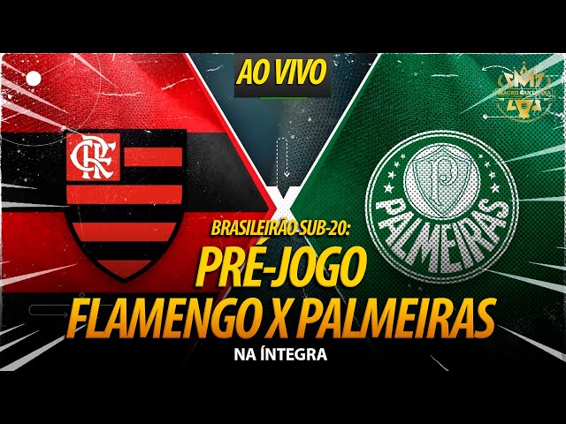 Flamengo e Palmeiras decidem título do Brasileirão Sub-20 nesta