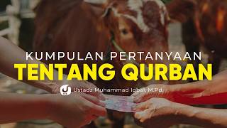 Pertanyaan-pertanyaan tentang Masalah Qurban - Ustadz Muhammad Iqbal, M.Pd.