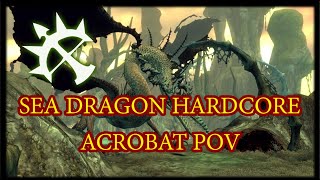 Sea Dragon Nest Acrobat Pov Dn Sea Clic