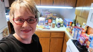 Large Family Grocery Haul April Part 2 Aldis & Sams