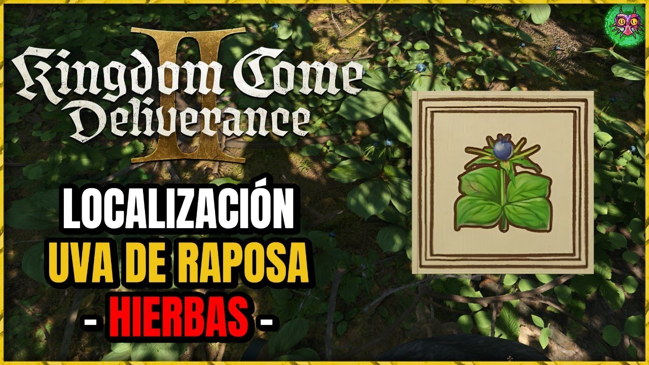 dónde encontrar uvas de raposa en Kingdom Come Deliverance II dónde encontrar uvas de raposa en Kingdom Come Deliverance II