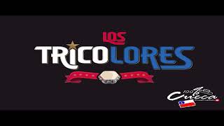 Video thumbnail of "Los Tricolores   Y todo fue por un beso"