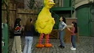 Sesame Street - Havin A Ball