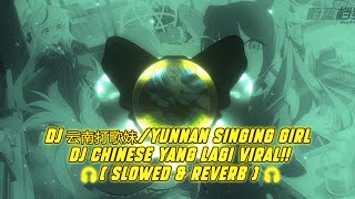 DJ 云南打歌妹/YUNNAN SINGING GIRL DJ CHINESE YANG LAGI VIRAL!! ( Slowed & Reverb )  🎧