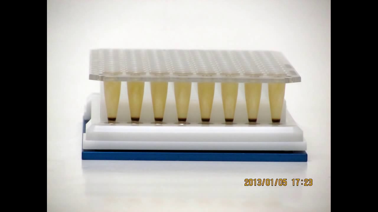 磁気ビーズ分離用マグネットプレート（96ウェルプレート用） | ワケン