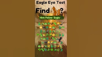 Find Squirrel IHidden Puzzle Episode 04 | AuraToys