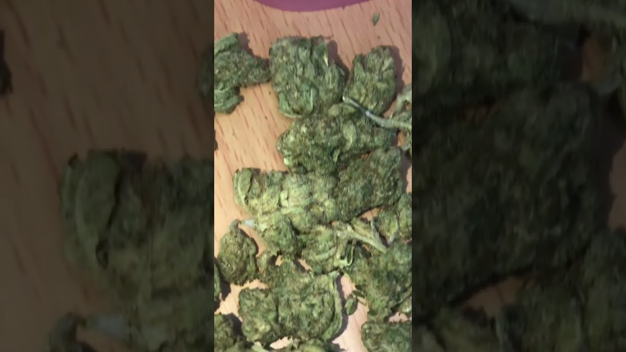 COULD this be the BEST CBD FLOWER on the PLANET??? 