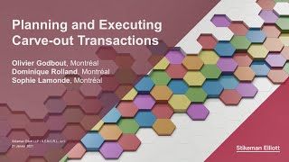 Planning and Executing Carve-out Transactions