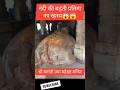 नंदी की बढ़ती प्रतिमा का रहस्य😱 || श्री यागंती उमा महेश्वर मन्दिर #shorts #viralshorts #trending