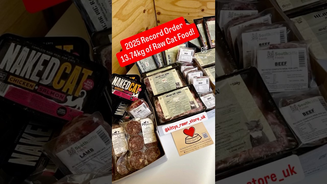 Presenting the 2025 Record Holder! What a way to end the year #rawfedcat #rawfeedingcommunity #cat