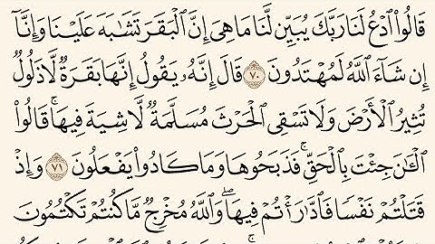 صفحة رقم 11 من القرآن الكريم