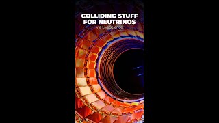 Run 3 on the Large Hadron Collider- will it solve the neutrino conundrum?⚛️