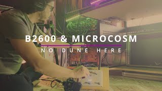 No Dune Here: B2600 & Microcosm