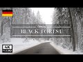 Drive in the Black Forest in White