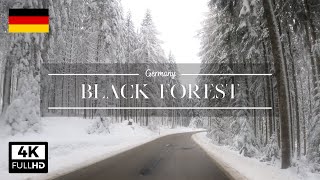 Drive in the Black Forest in White
